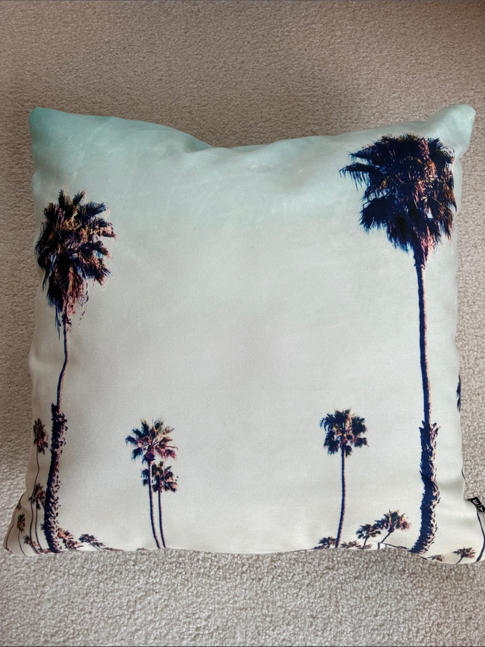 DENY Designs Palm Tree Print Decorative Pillow
